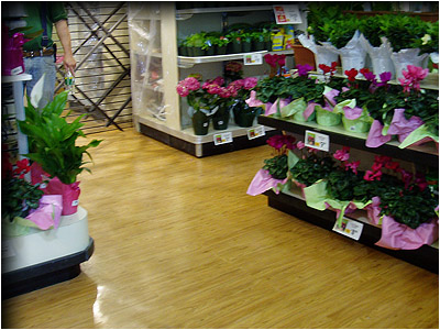 shoprite01